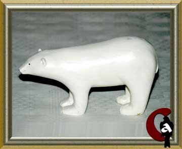 Polar bear - Ursus maritimus